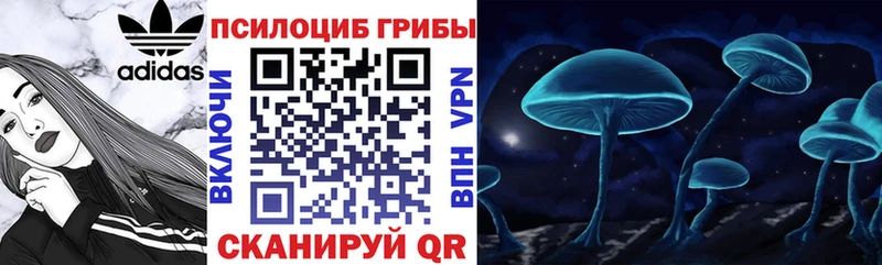 Псилоцибиновые грибы Magic Shrooms  закладка  кракен   Никольск 